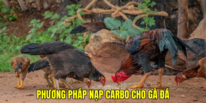 Gợi ý những cách thức thực hiện hiệu quả cho sư kê
