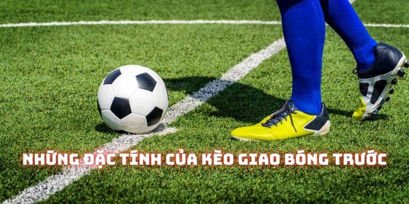 Trước khi chơi, hãy lưu ý những đặc tính sau đây về loại hình cược này
