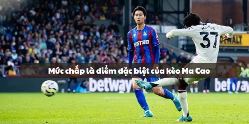 Sức hút đặc biệt của kèo chấp đến từ sự đa dạng của các mức tỷ lệ handicap