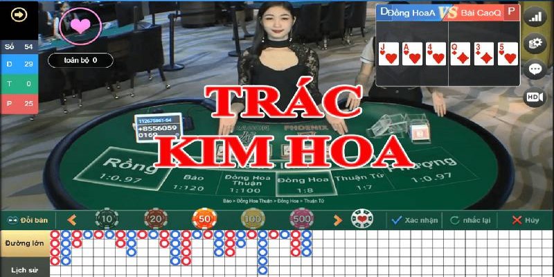 Giới thiệu khái niệm cơ bản về Trạc Kim Hoa