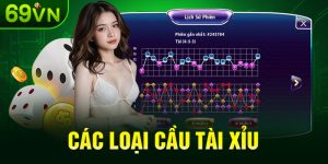 Các Loại Cầu Tài Xỉu